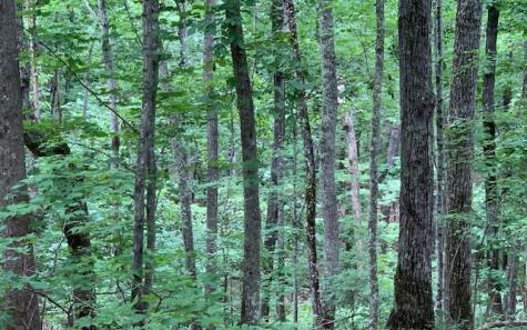 Lot 18 Bruce Mountain Blairsville GA 30512