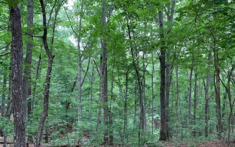 Lot 18 Bruce Mountain Blairsville GA 30512