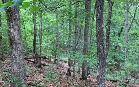 Lot 18 Bruce Mountain Blairsville GA 30512