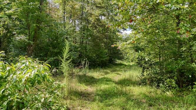 0 Cowart Road Hayesville NC 28904