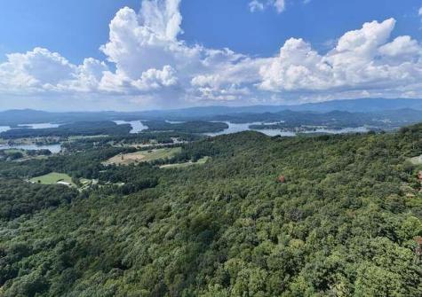 0 Cowart Road Hayesville NC 28904