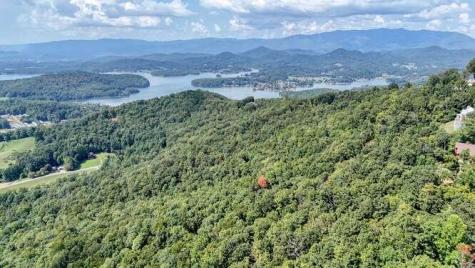 0 Cowart Road Hayesville NC 28904