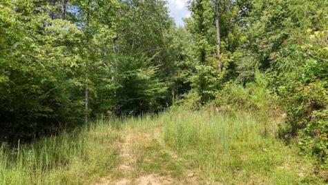 0 Cowart Road Hayesville NC 28904