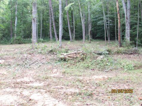 0 Cowart Road Hayesville NC 28904