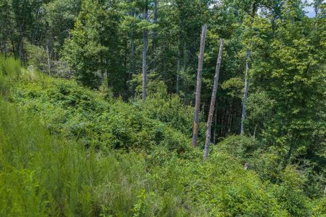 Tract C Hicks Ford Road Ellijay GA 30540