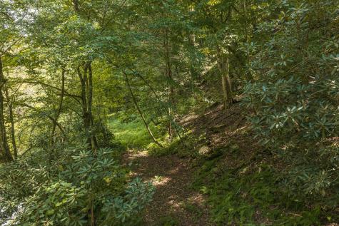 Tract C Hicks Ford Road Ellijay GA 30540