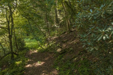Tract C Hicks Ford Road Ellijay GA 30540