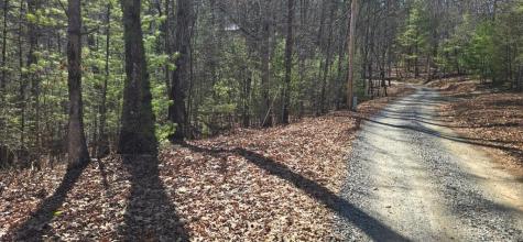 Lot 12 Oak Loop Mineral Bluff GA 30559