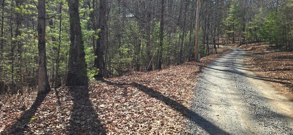 Lot 12 Oak Loop Mineral Bluff GA 30559