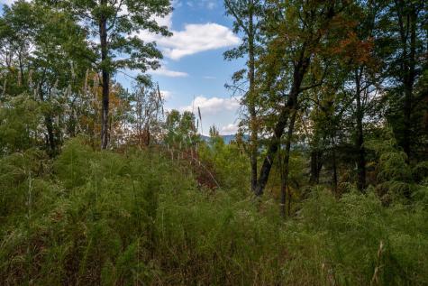 Lot 22 Morris Ridge Drive Murphy NC 28906