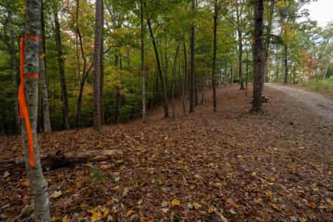 Lot 22 Morris Ridge Drive Murphy NC 28906