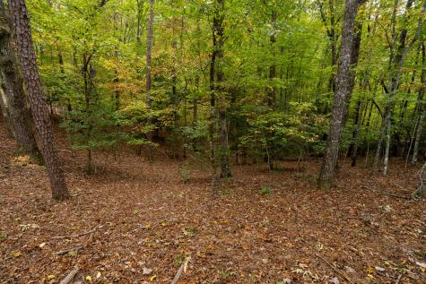 Lot 22 Morris Ridge Drive Murphy NC 28906
