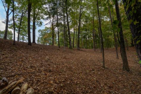 Lot 22 Morris Ridge Drive Murphy NC 28906