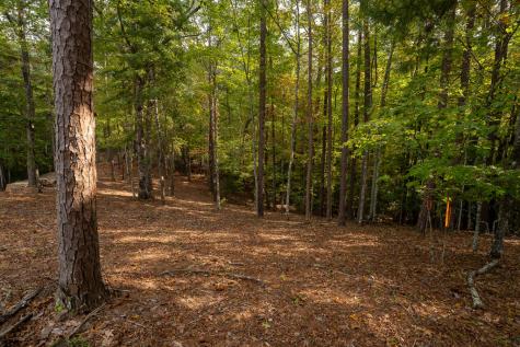 Lot 22 Morris Ridge Drive Murphy NC 28906