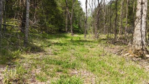 0 Holly Road Murphy NC 28906