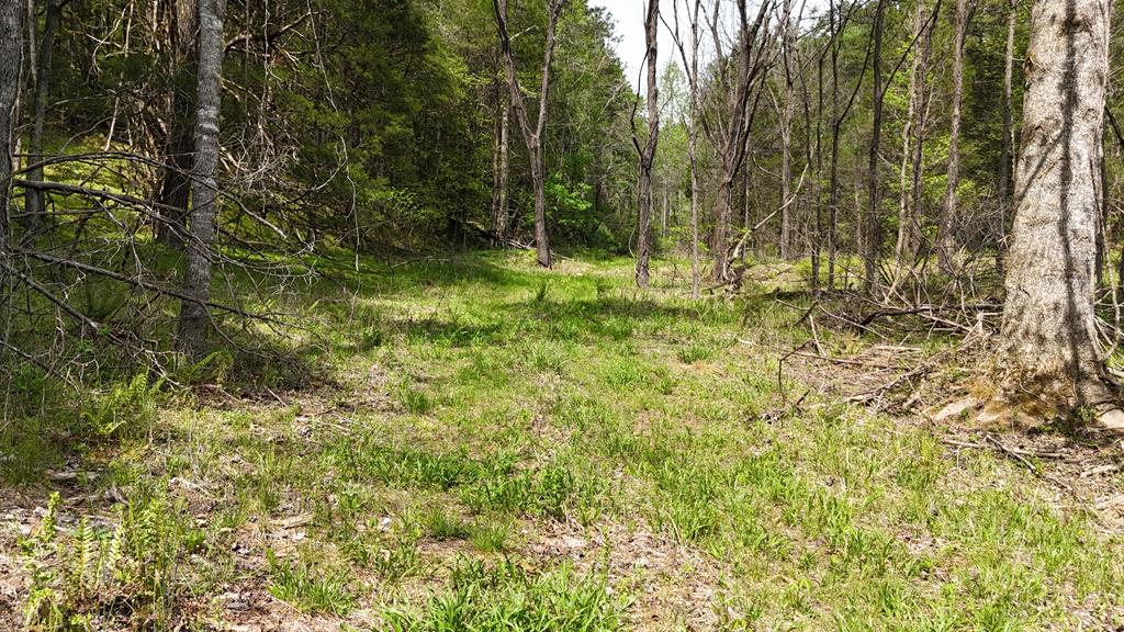 0 Holly Road Murphy NC 28906