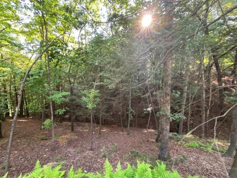 LOTS2329 S Whitepath Circle Ellijay GA 30540