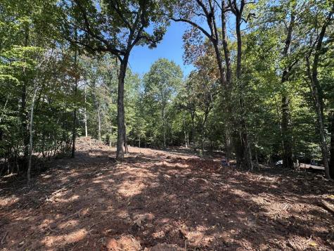 Tbd Sawyer Ridge Lane Hayesville NC 28904