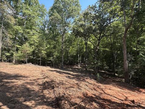 Tbd Sawyer Ridge Lane Hayesville NC 28904