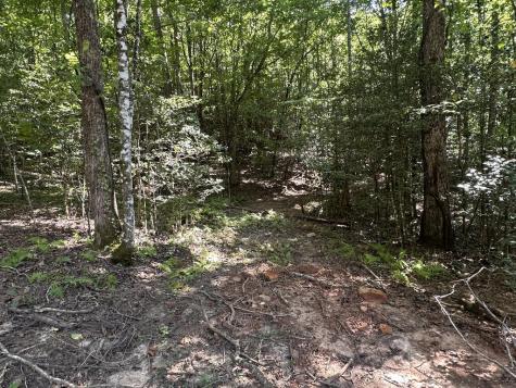 Tbd Sawyer Ridge Lane Hayesville NC 28904