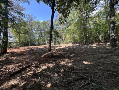 Tbd Sawyer Ridge Lane Hayesville NC 28904