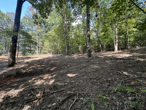 Tbd Sawyer Ridge Lane Hayesville NC 28904