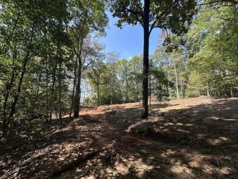 Tbd Sawyer Ridge Lane Hayesville NC 28904