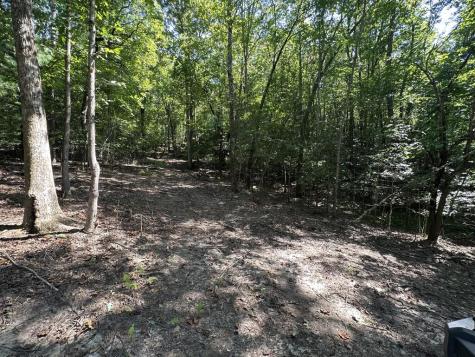 Tbd Sawyer Ridge Lane Hayesville NC 28904
