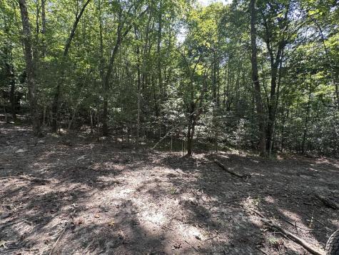 Tbd Sawyer Ridge Lane Hayesville NC 28904
