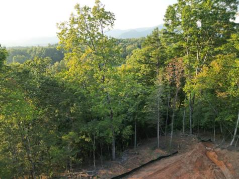 Tbd Sawyer Ridge Lane Hayesville NC 28904
