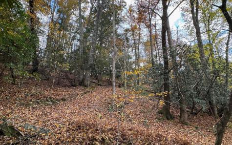 Lot 45 Gobbler Knob Suches GA 30572