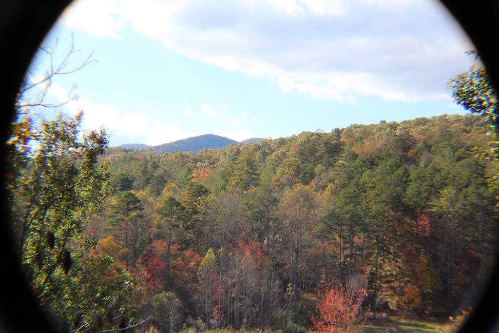 Lot 17 Old Taylors Ferry Ridge Murphy NC 28906