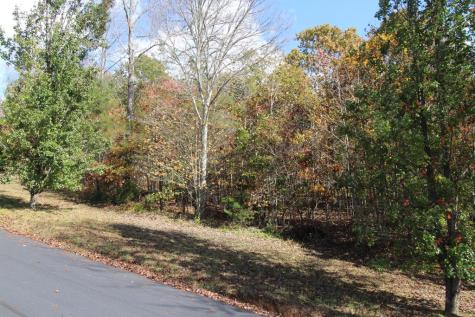 Lot 17 Old Taylors Ferry Ridge Murphy NC 28906