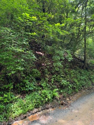 Lot 2 Kells Ridge Ellijay GA 30540