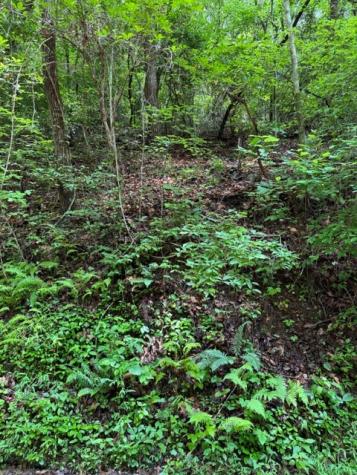 Lot 2 Kells Ridge Ellijay GA 30540