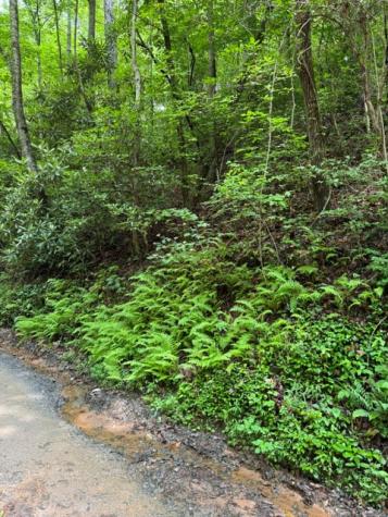 Lot 2 Kells Ridge Ellijay GA 30540