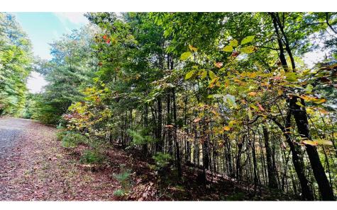 Lot 3 Wild Turkey Young Harris GA 30582