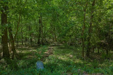 0 Mulberry Circle Jasper GA 30143