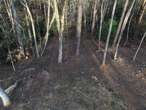 0 Delphi Hills Lane Mccaysville GA 30555