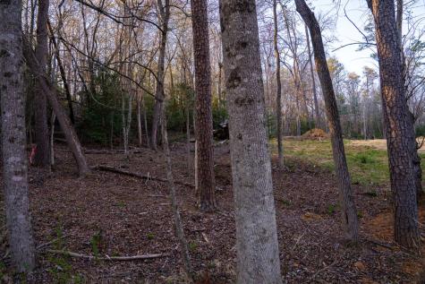 0 Delphi Hills Lane Mccaysville GA 30555