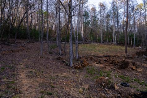 0 Delphi Hills Lane Mccaysville GA 30555
