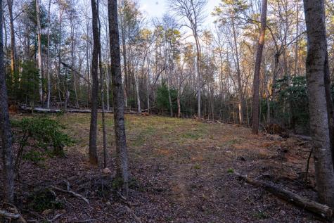 0 Delphi Hills Lane Mccaysville GA 30555