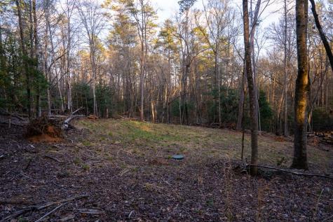 0 Delphi Hills Lane Mccaysville GA 30555