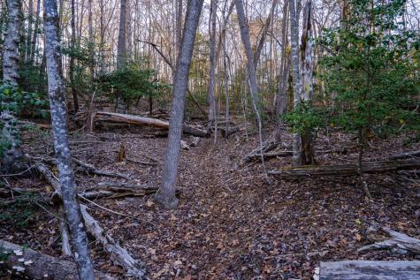 0 Delphi Hills Lane Mccaysville GA 30555