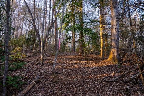 0 Delphi Hills Lane Mccaysville GA 30555