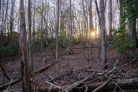 0 Delphi Hills Lane Mccaysville GA 30555