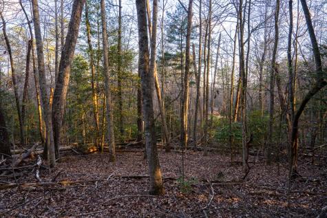 0 Delphi Hills Lane Mccaysville GA 30555
