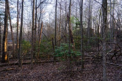 0 Delphi Hills Lane Mccaysville GA 30555