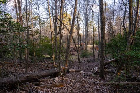 0 Delphi Hills Lane Mccaysville GA 30555