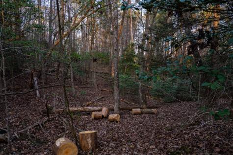 0 Delphi Hills Lane Mccaysville GA 30555